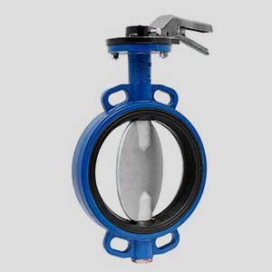 butterfly-valve1