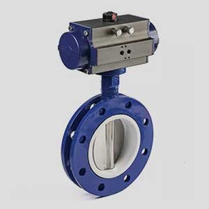 butterfly-valve2